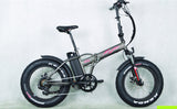Fatty Ryder Bike