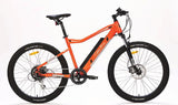 Ryder Pro Bike